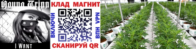 Виды наркотиков купить Заволжск Alpha-PVP АМФЕТАМИН МЕФ Гашиш Кокаин Канабис