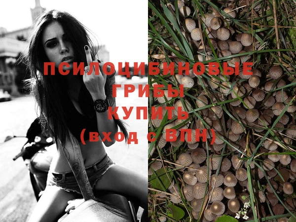 спайс Вязники