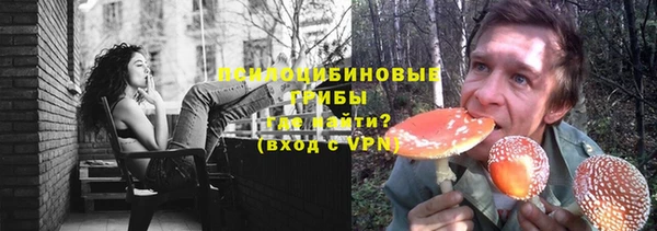 2c-b Вяземский