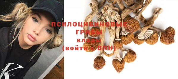 спайс Вязники